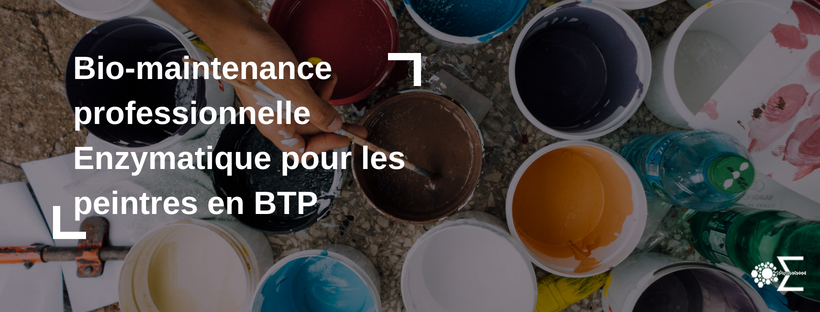 peinture et bio-maintenance professionnelles